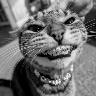 🐾₡₳Х₳₱Ǿ₭🐾