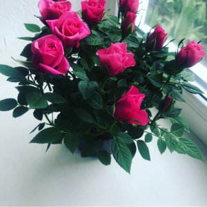 Watch Тана Live Stream on BIGO LIVE