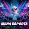 MENA GAMING ESPORTS