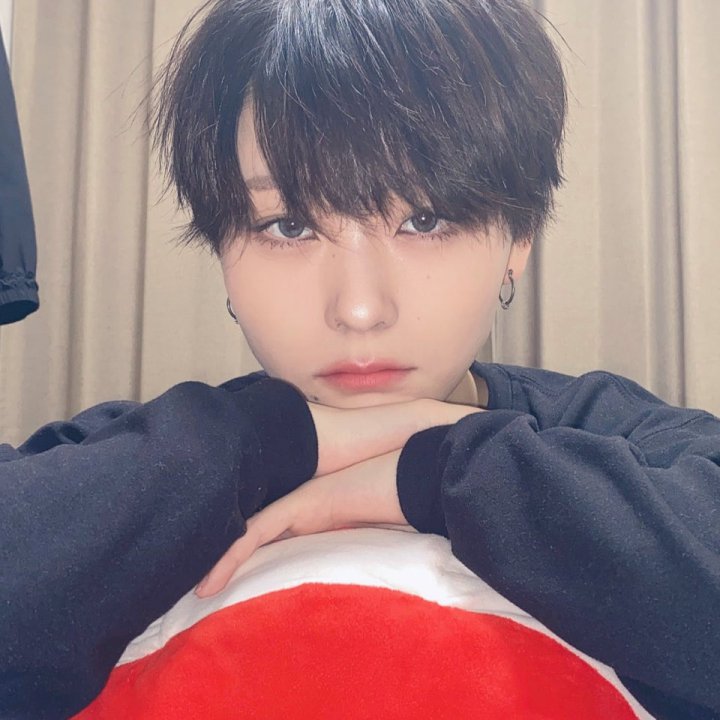 貴重　goちゃんクリスマスバージョン　レア　ビゴBIGO biちゃんTikTok 貴重 goちゃんクリスマスバージョン レア ビゴBIGO biちゃん