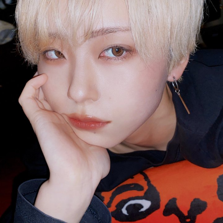 貴重　goちゃんクリスマスバージョン　レア　ビゴBIGO biちゃんTikTok 貴重 goちゃんクリスマスバージョン レア ビゴBIGO biちゃんTikTok