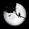 874909528 avatar