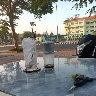 770209461 avatar