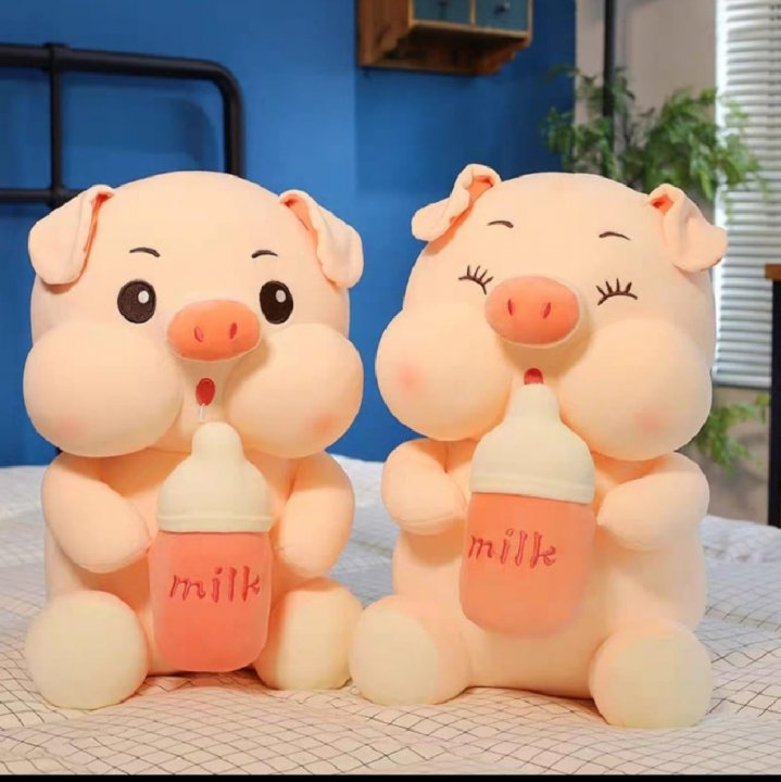 貴重　goちゃんクリスマスバージョン　レア　ビゴBIGO biちゃんTikTok 貴重 goちゃんクリスマスバージョン レア ビゴBIGO biちゃんTikTok