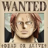 20505179 avatar