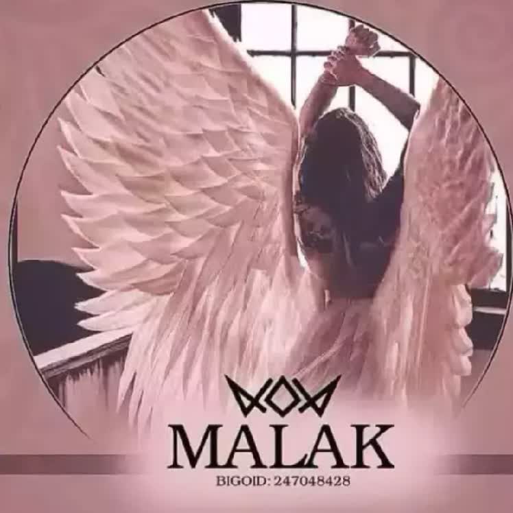 Watch 🪽小知知—123K Live Stream on BIGO LIVE