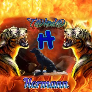 topstreams bengals