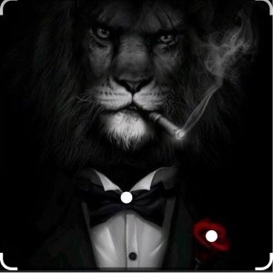 Watch Lion Live Stream on BIGO LIVE