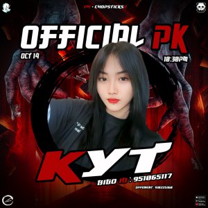 kyt проверка