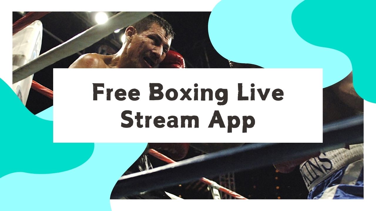 free boxing live stream app