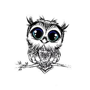 Watch 🦉 Live Stream on BIGO LIVE