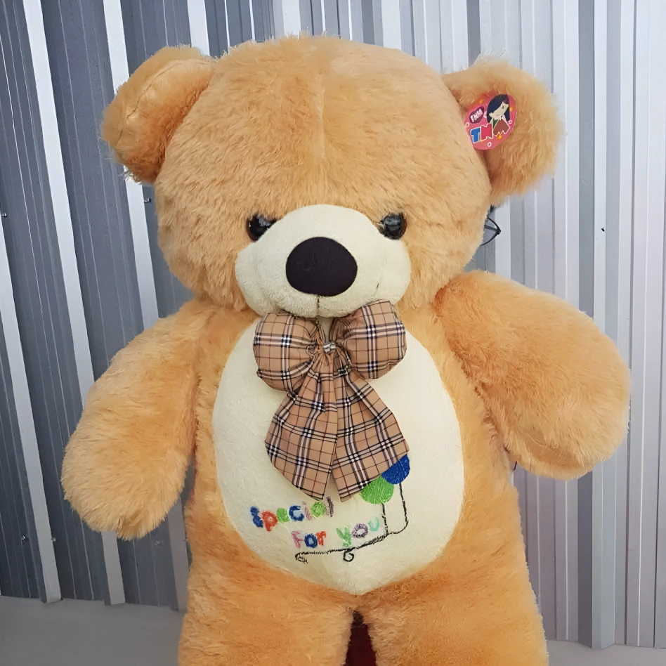 รอบพิเศษ